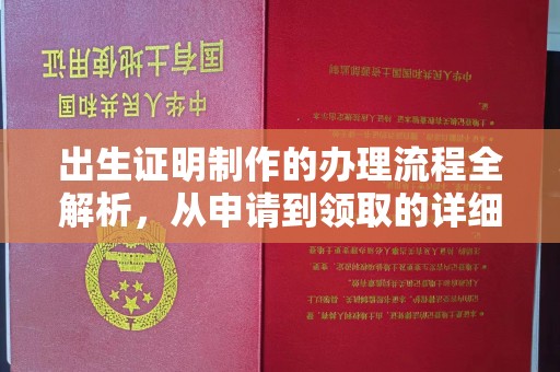 浮山出生证明制作的办理流程全解析，从申请到领取的详细指南